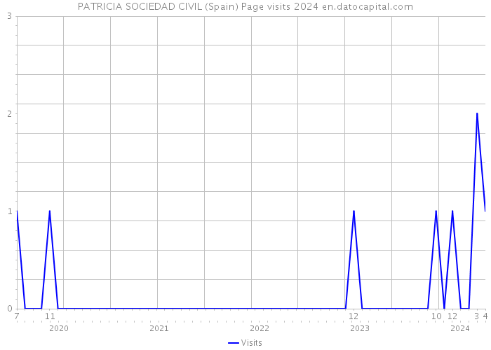 PATRICIA SOCIEDAD CIVIL (Spain) Page visits 2024 