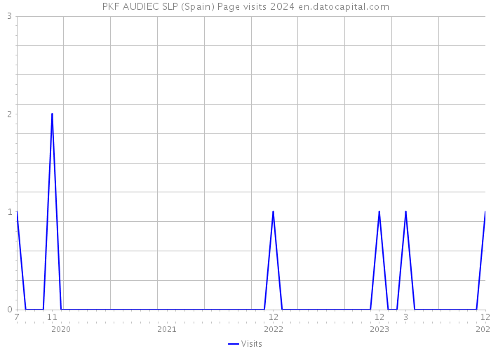 PKF AUDIEC SLP (Spain) Page visits 2024 