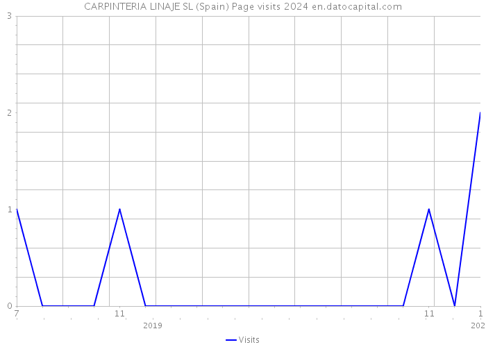 CARPINTERIA LINAJE SL (Spain) Page visits 2024 