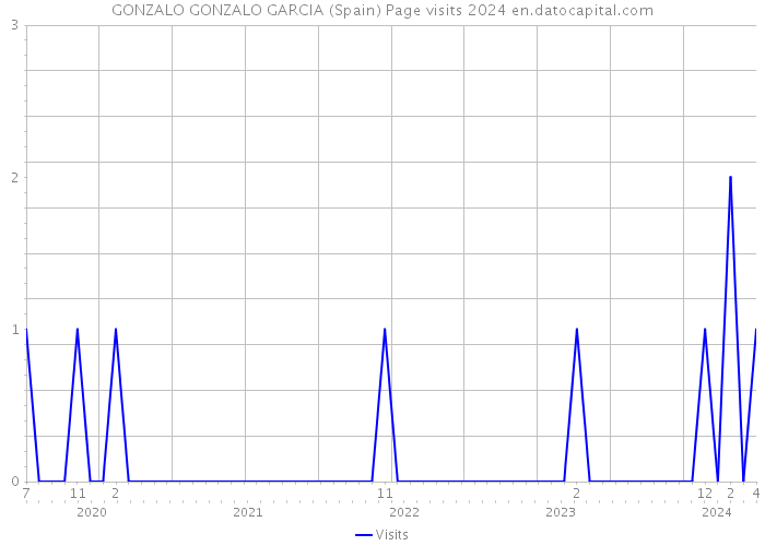 GONZALO GONZALO GARCIA (Spain) Page visits 2024 