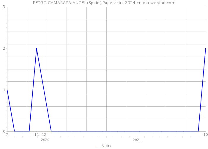 PEDRO CAMARASA ANGEL (Spain) Page visits 2024 