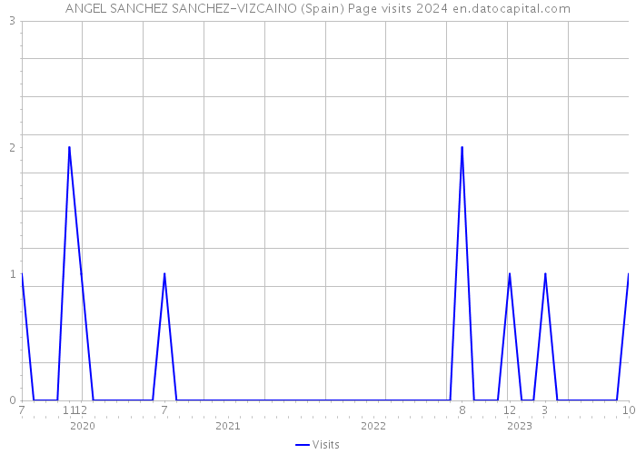 ANGEL SANCHEZ SANCHEZ-VIZCAINO (Spain) Page visits 2024 