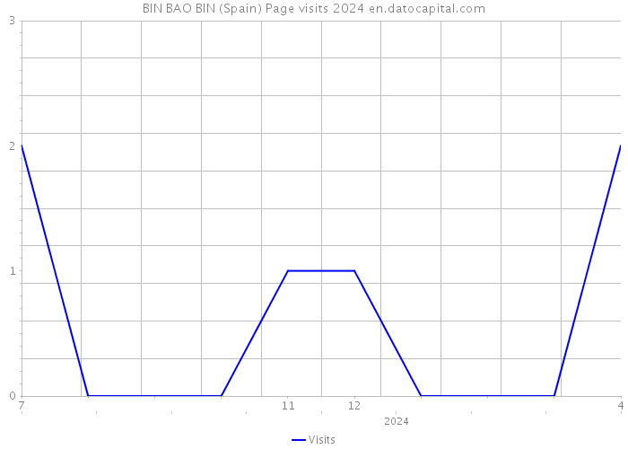 BIN BAO BIN (Spain) Page visits 2024 