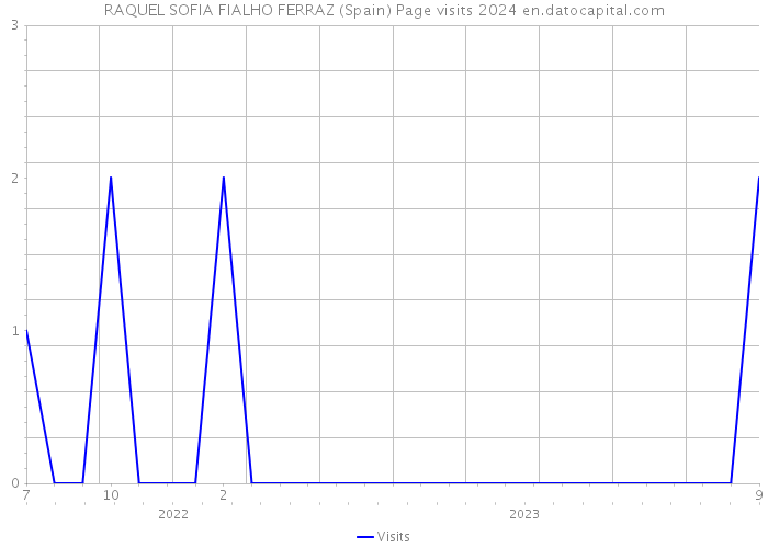 RAQUEL SOFIA FIALHO FERRAZ (Spain) Page visits 2024 