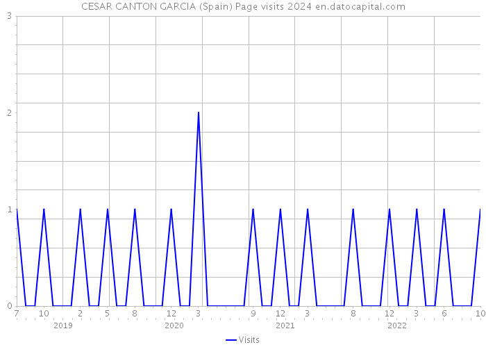 CESAR CANTON GARCIA (Spain) Page visits 2024 