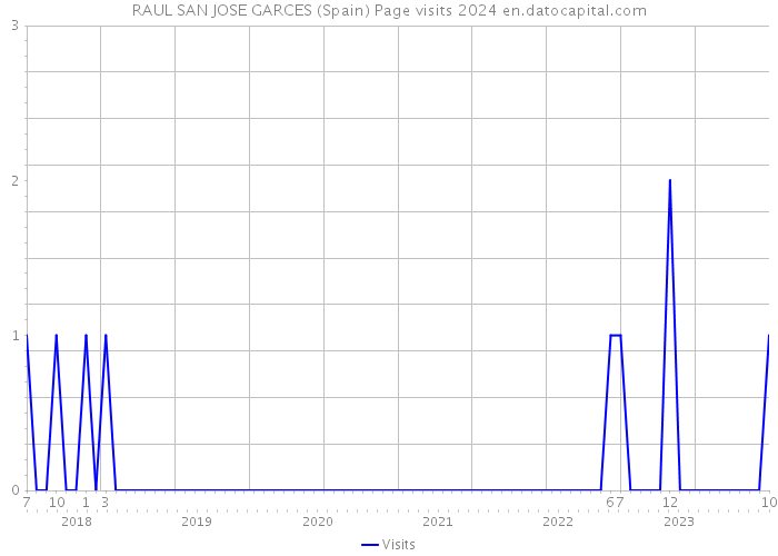 RAUL SAN JOSE GARCES (Spain) Page visits 2024 