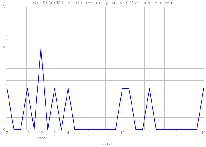 GRUPO AGCM CUATRO SL (Spain) Page visits 2024 