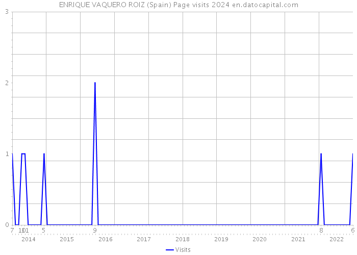 ENRIQUE VAQUERO ROIZ (Spain) Page visits 2024 
