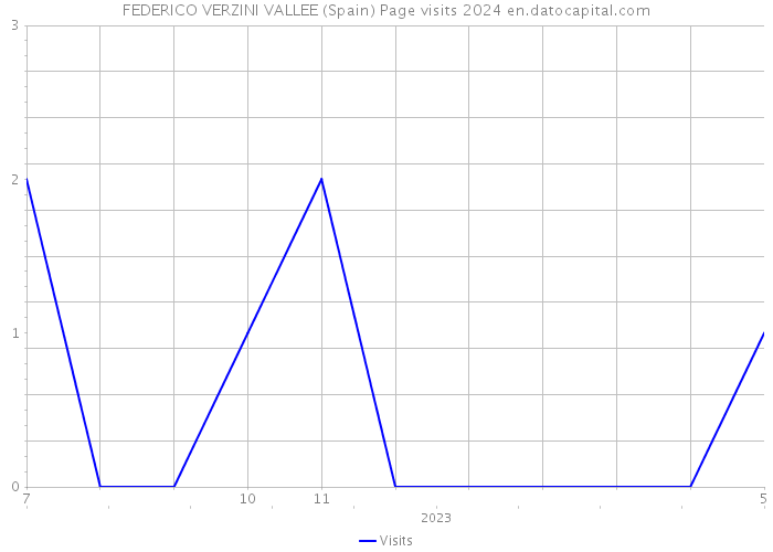 FEDERICO VERZINI VALLEE (Spain) Page visits 2024 