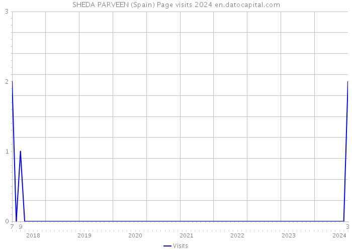 SHEDA PARVEEN (Spain) Page visits 2024 