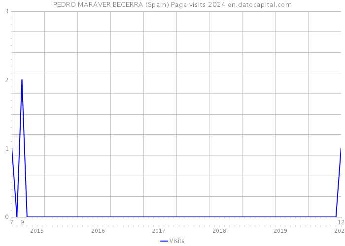 PEDRO MARAVER BECERRA (Spain) Page visits 2024 