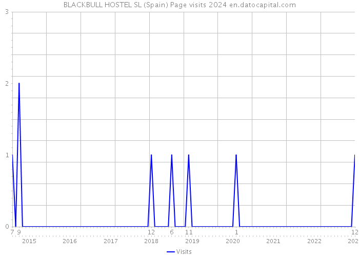 BLACKBULL HOSTEL SL (Spain) Page visits 2024 