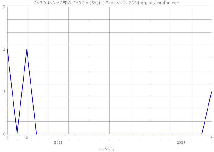 CAROLINA ACERO GARCIA (Spain) Page visits 2024 