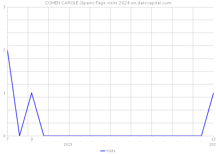 COHEN CAROLE (Spain) Page visits 2024 