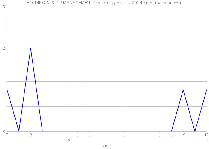 HOLDING APS CIP MANAGEMENT (Spain) Page visits 2024 