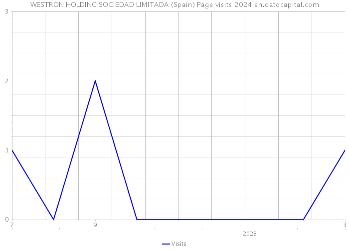 WESTRON HOLDING SOCIEDAD LIMITADA (Spain) Page visits 2024 