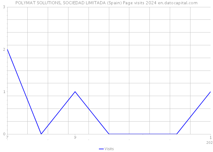 POLYMAT SOLUTIONS, SOCIEDAD LIMITADA (Spain) Page visits 2024 