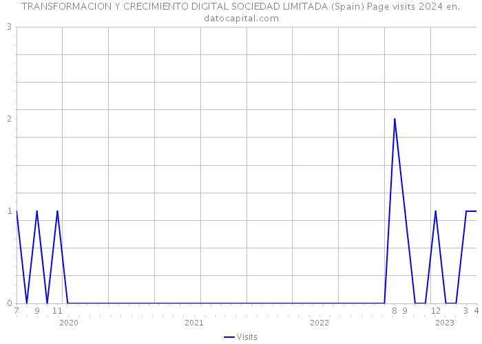 TRANSFORMACION Y CRECIMIENTO DIGITAL SOCIEDAD LIMITADA (Spain) Page visits 2024 