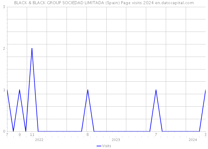 BLACK & BLACK GROUP SOCIEDAD LIMITADA (Spain) Page visits 2024 