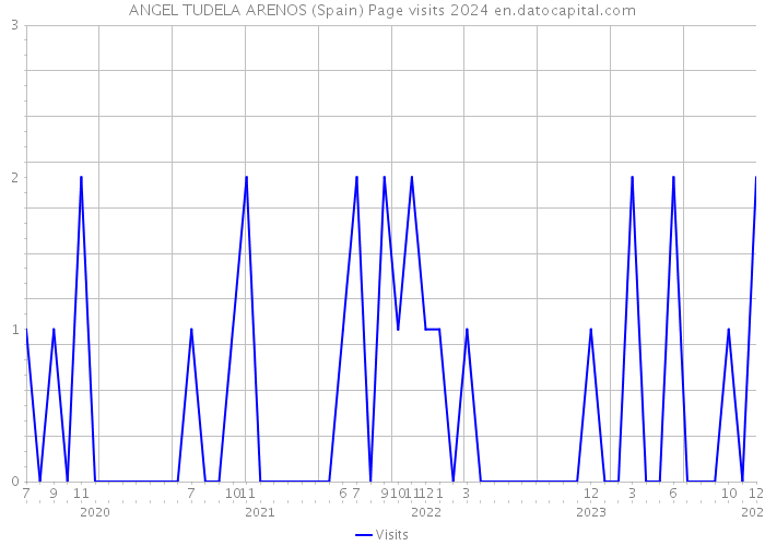 ANGEL TUDELA ARENOS (Spain) Page visits 2024 
