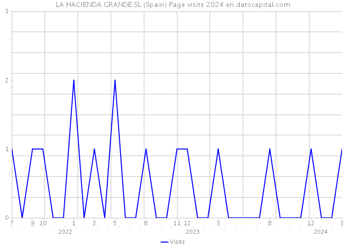 LA HACIENDA GRANDE SL (Spain) Page visits 2024 