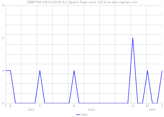DEBITUM ASOCIADOS S.L (Spain) Page visits 2024 
