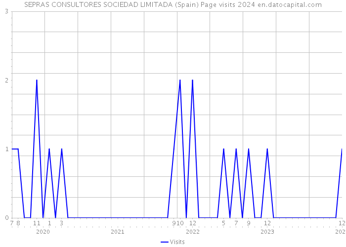 SEPRAS CONSULTORES SOCIEDAD LIMITADA (Spain) Page visits 2024 