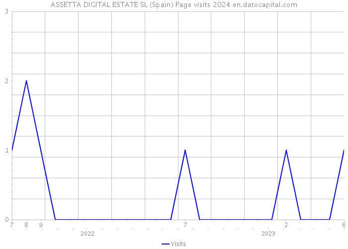ASSETTA DIGITAL ESTATE SL (Spain) Page visits 2024 