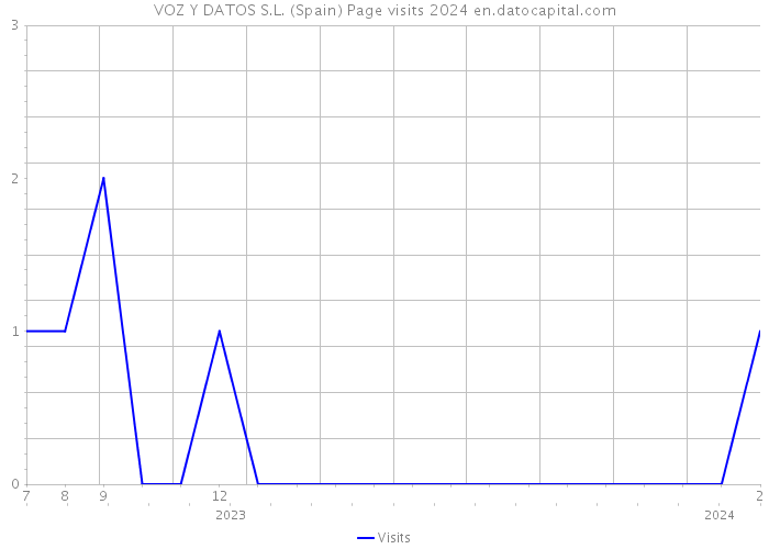 VOZ Y DATOS S.L. (Spain) Page visits 2024 