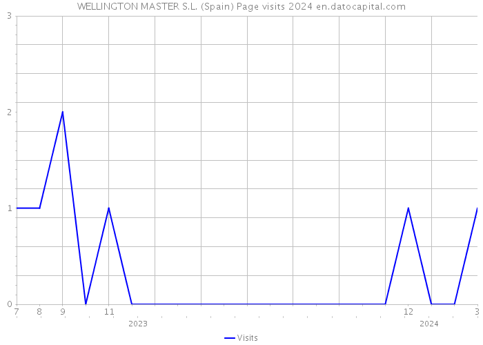 WELLINGTON MASTER S.L. (Spain) Page visits 2024 