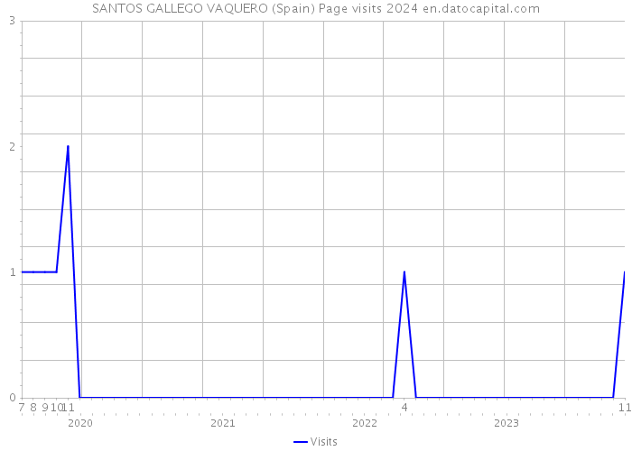 SANTOS GALLEGO VAQUERO (Spain) Page visits 2024 