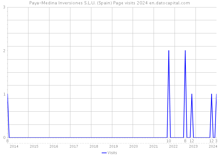 Paya-Medina Inversiones S.L.U. (Spain) Page visits 2024 