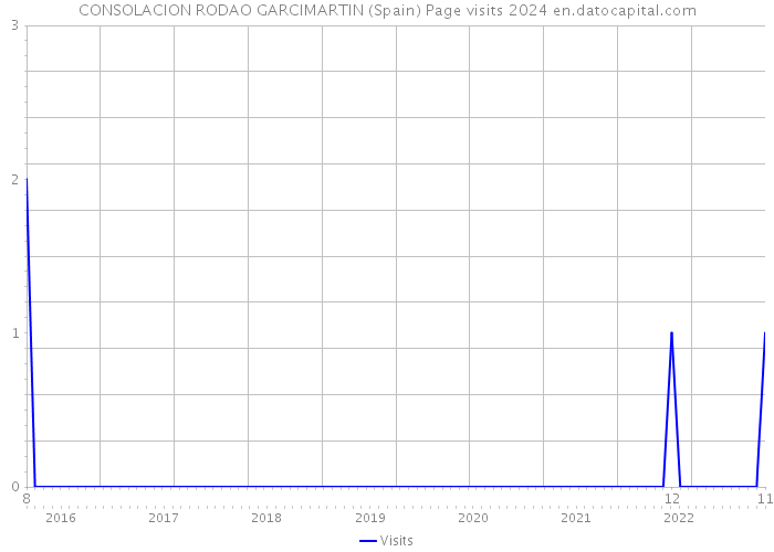CONSOLACION RODAO GARCIMARTIN (Spain) Page visits 2024 