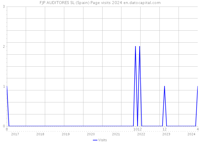 FJP AUDITORES SL (Spain) Page visits 2024 