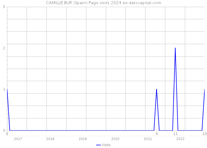 CAMILLE BUR (Spain) Page visits 2024 