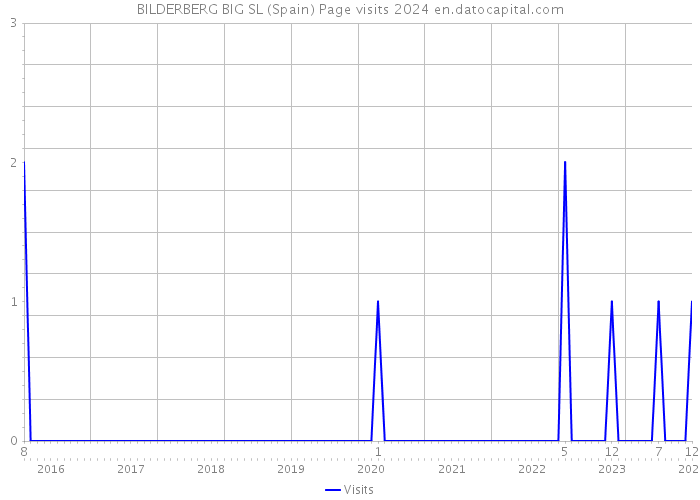 BILDERBERG BIG SL (Spain) Page visits 2024 