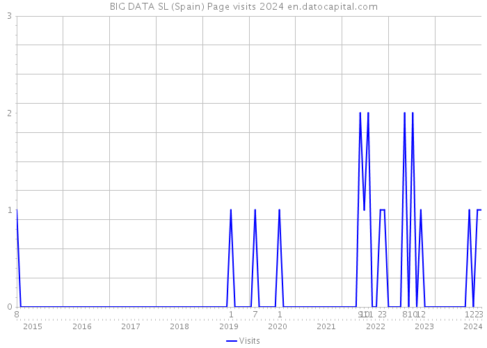 BIG DATA SL (Spain) Page visits 2024 