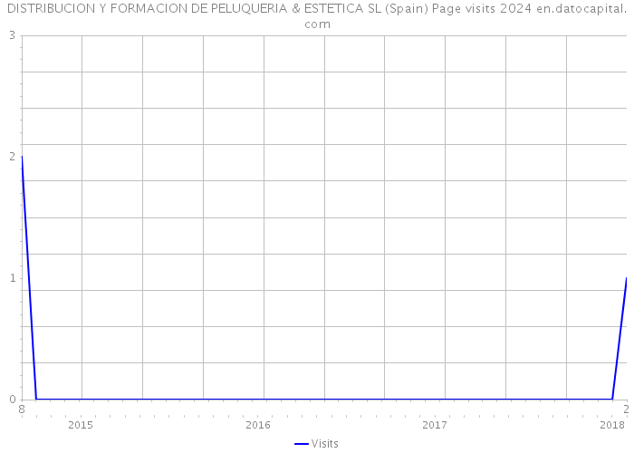 DISTRIBUCION Y FORMACION DE PELUQUERIA & ESTETICA SL (Spain) Page visits 2024 