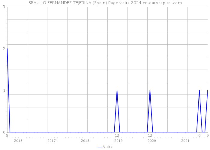 BRAULIO FERNANDEZ TEJERINA (Spain) Page visits 2024 
