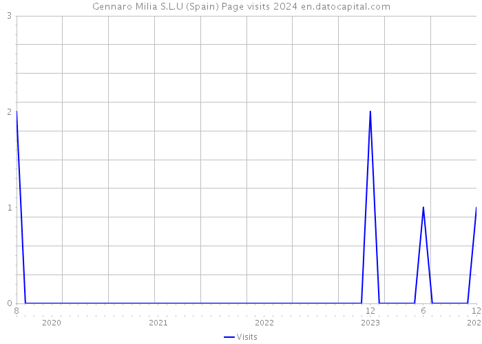 Gennaro Milia S.L.U (Spain) Page visits 2024 