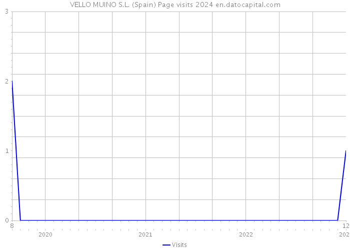 VELLO MUINO S.L. (Spain) Page visits 2024 