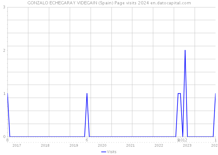 GONZALO ECHEGARAY VIDEGAIN (Spain) Page visits 2024 
