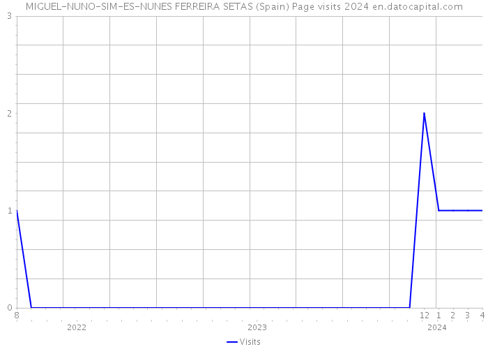 MIGUEL-NUNO-SIM-ES-NUNES FERREIRA SETAS (Spain) Page visits 2024 
