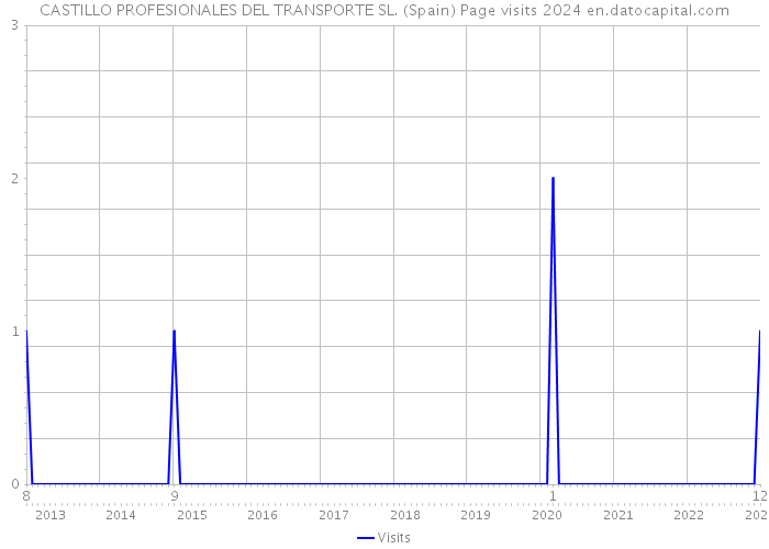 CASTILLO PROFESIONALES DEL TRANSPORTE SL. (Spain) Page visits 2024 