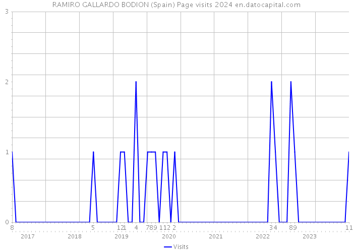 RAMIRO GALLARDO BODION (Spain) Page visits 2024 
