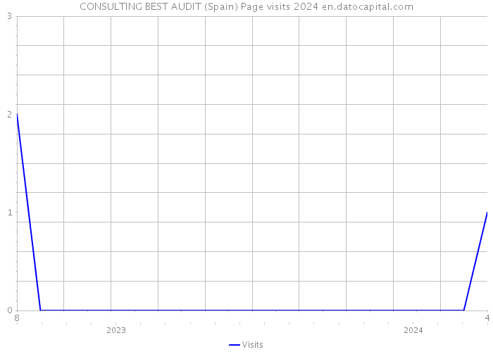 CONSULTING BEST AUDIT (Spain) Page visits 2024 
