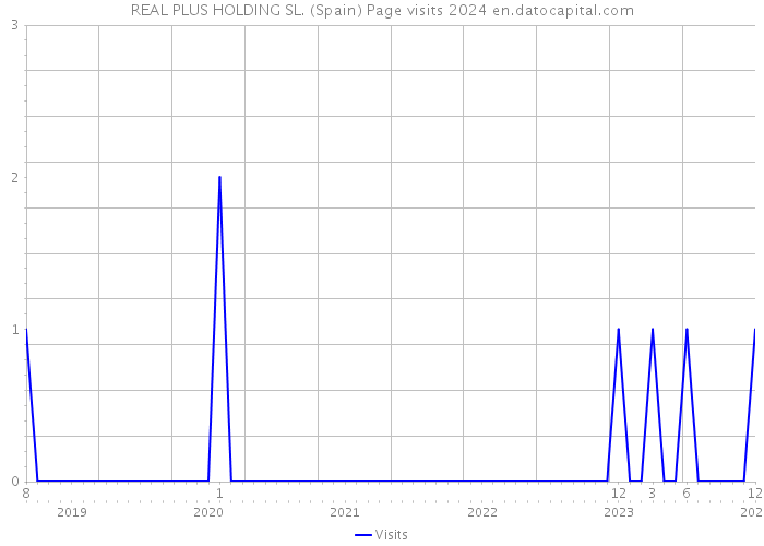 REAL PLUS HOLDING SL. (Spain) Page visits 2024 