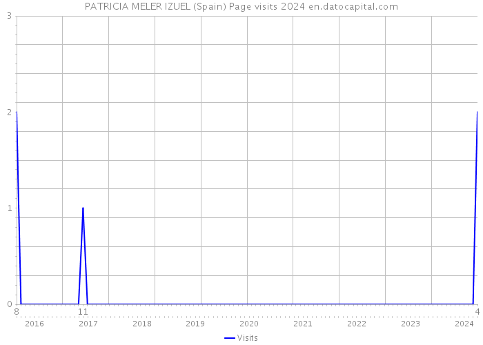 PATRICIA MELER IZUEL (Spain) Page visits 2024 