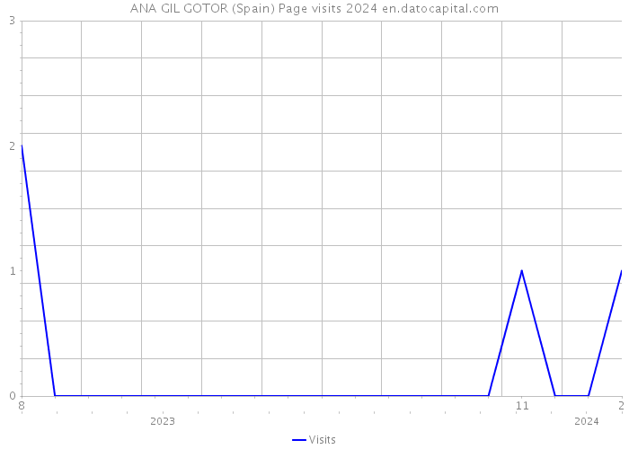 ANA GIL GOTOR (Spain) Page visits 2024 