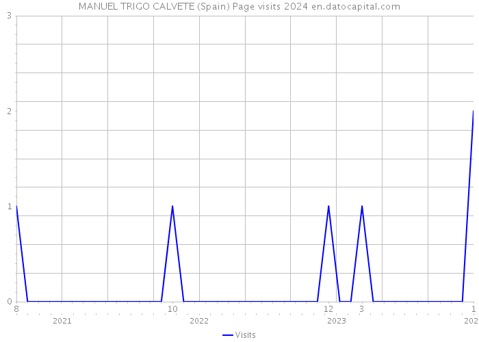 MANUEL TRIGO CALVETE (Spain) Page visits 2024 